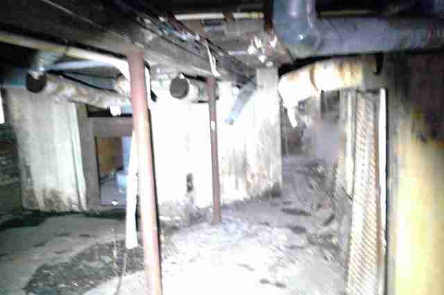 W Euclid (30)_edited_edited.jpg